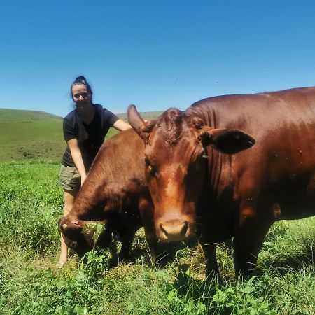 Nguni Moon Tepee Camp Hotel Underberg Buitenkant foto