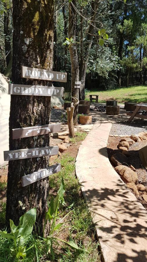 Nguni Moon Tepee Camp Hotel Underberg Buitenkant foto