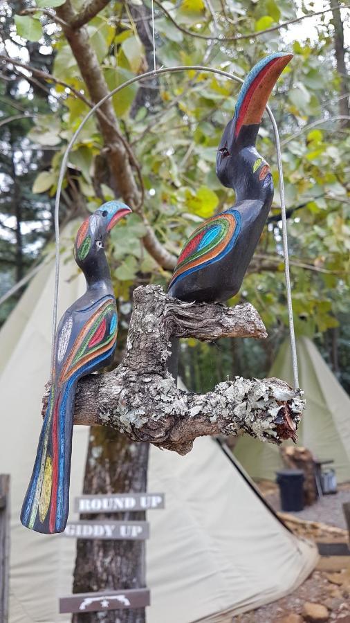 Nguni Moon Tepee Camp Hotel Underberg Buitenkant foto